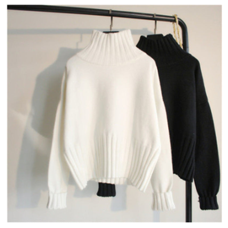 Western Style Loose Turtle Neck